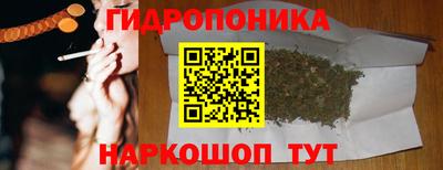 ешки Дубна